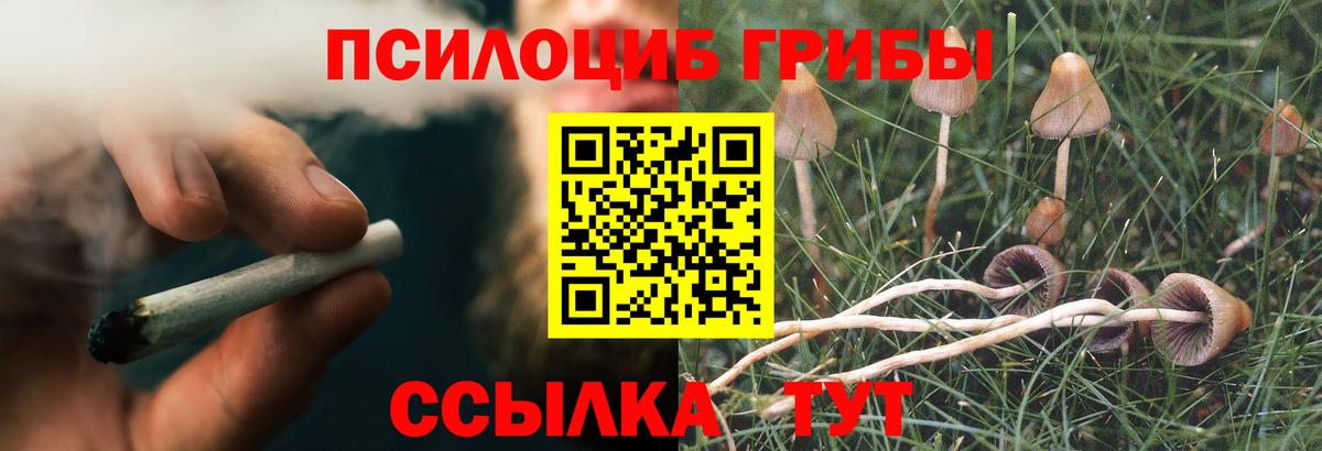Конопля Мичуринск