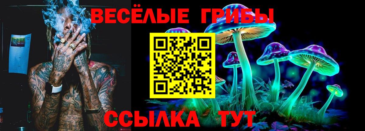 Мичуринск  Галлюциногенные грибы мухоморы  Галлюциногенные грибы MAGIC MUSHROOMS  Вход с VPN 